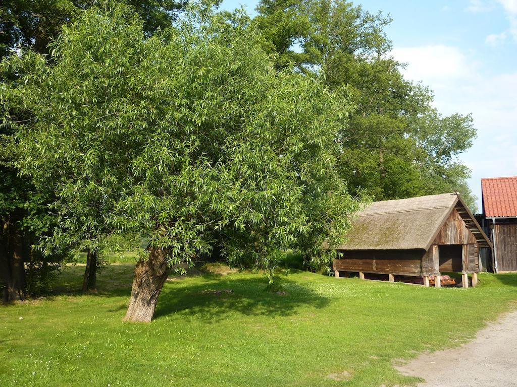 Spreewald Pension Spreeaue Burg  Exterior photo